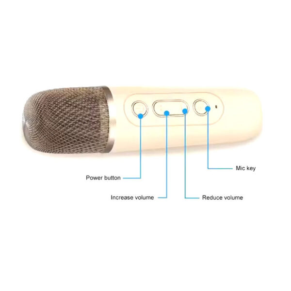 Pico K12 Mini Portable Karaoke Wireless Speaker for Gifts